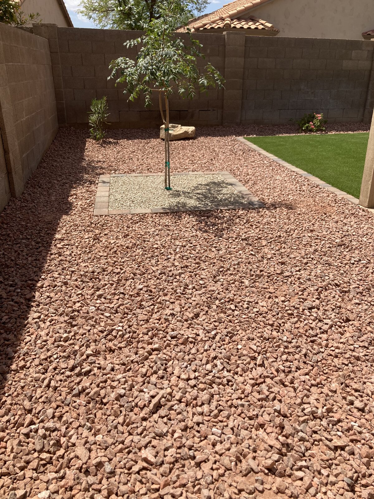 Desert Tree Feature